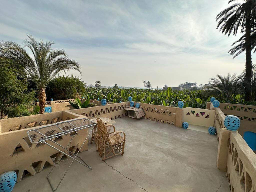 Villa Rebecca Professor'S Paradise Luxor Exterior foto