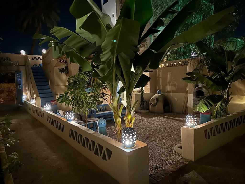 Villa Rebecca Professor'S Paradise Luxor Exterior foto