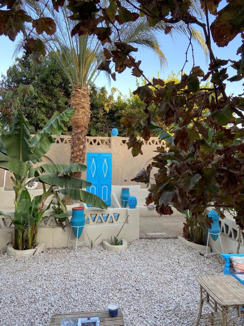 Villa Rebecca Professor'S Paradise Luxor Exterior foto